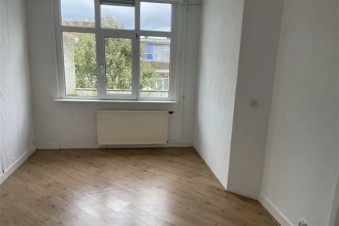 Hulshorststraat 116 2573 EM Den haag huurwoning, huurappartement