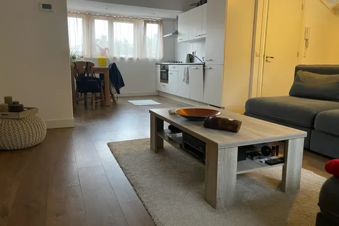 Busken Huetstraat 60A A 2524 TV Den haag huurwoning, huurappartement