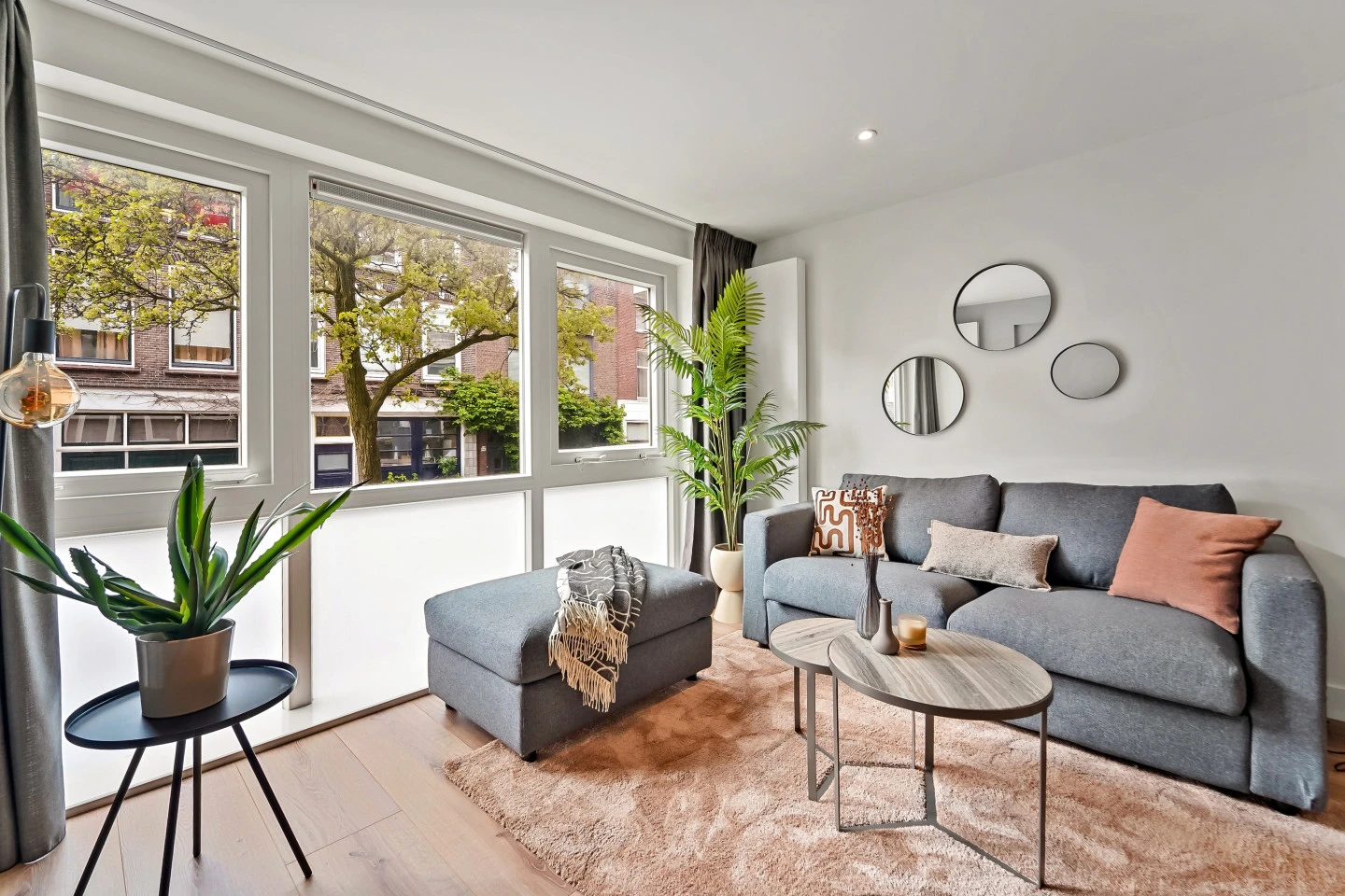 Hamerstraat 37 2512 CX Den haag foto: 3 van huurwoning, huurappartement
