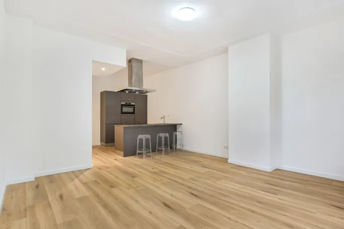 Weissenbruchstraat 63B B 2596 GB Den haag huurwoning, huurappartement