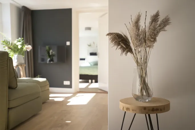 Boekhorststraat 12F F 2512 CR Den haag huurwoning, huurappartement